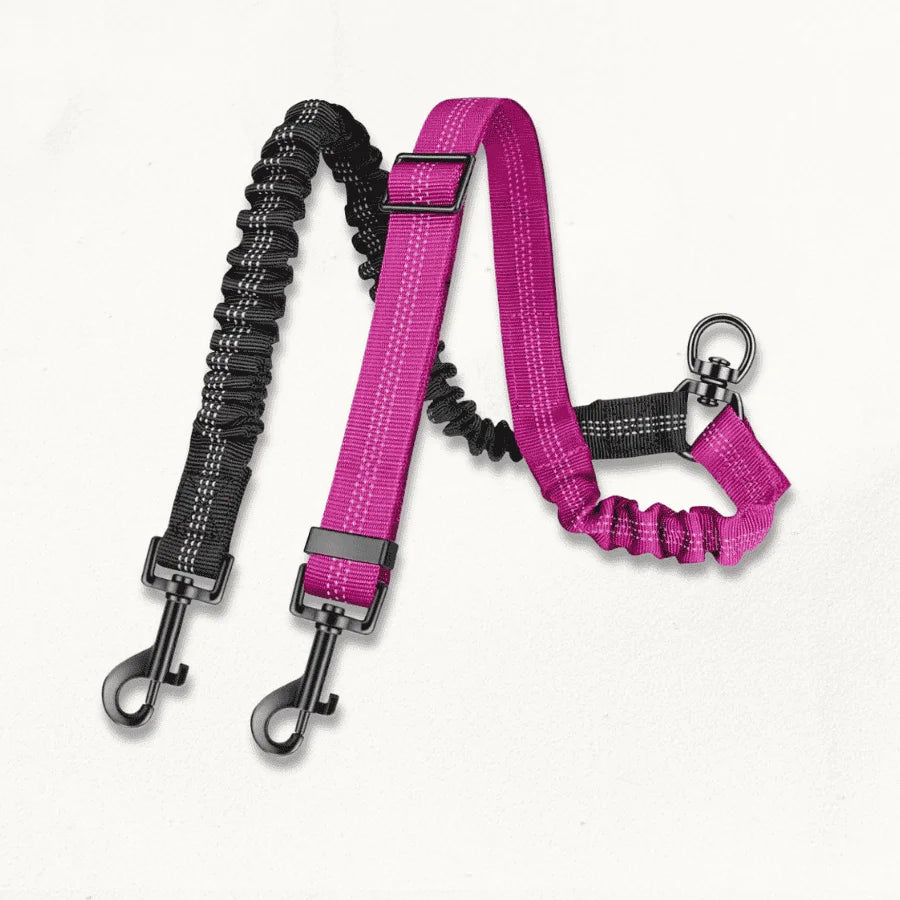 Double Laisse pour Chiens | FlexiBond