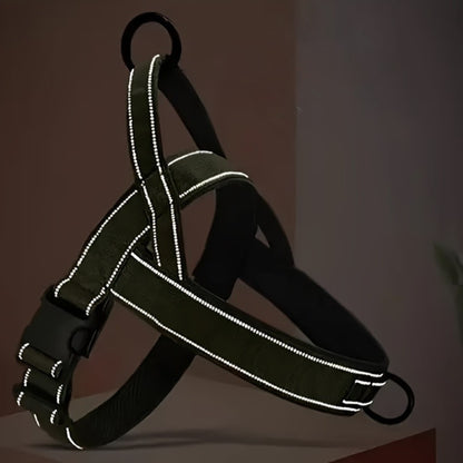 Harnais en T avec poignée | Titan Gear