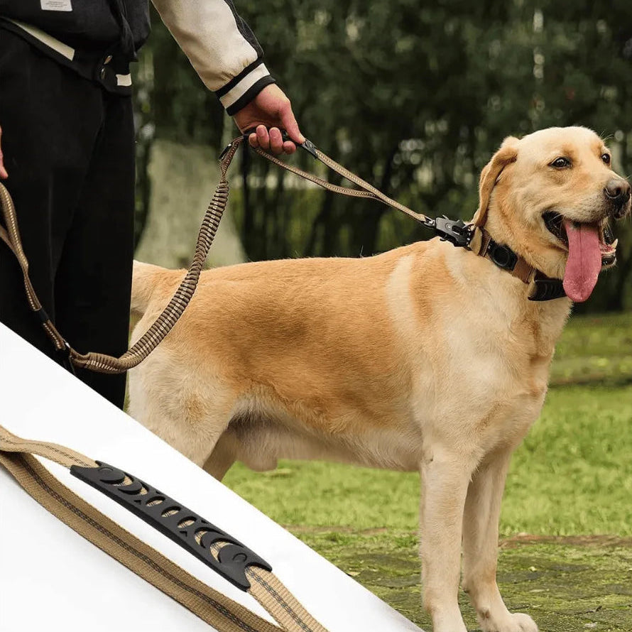 Laisse pour Chien 2 en 1 | SafetyFirst | PetitePromenade