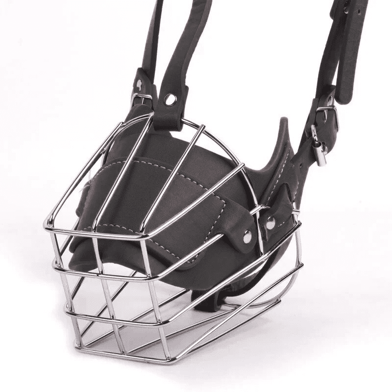 Muselière cage | BlackBark PetitePromenade