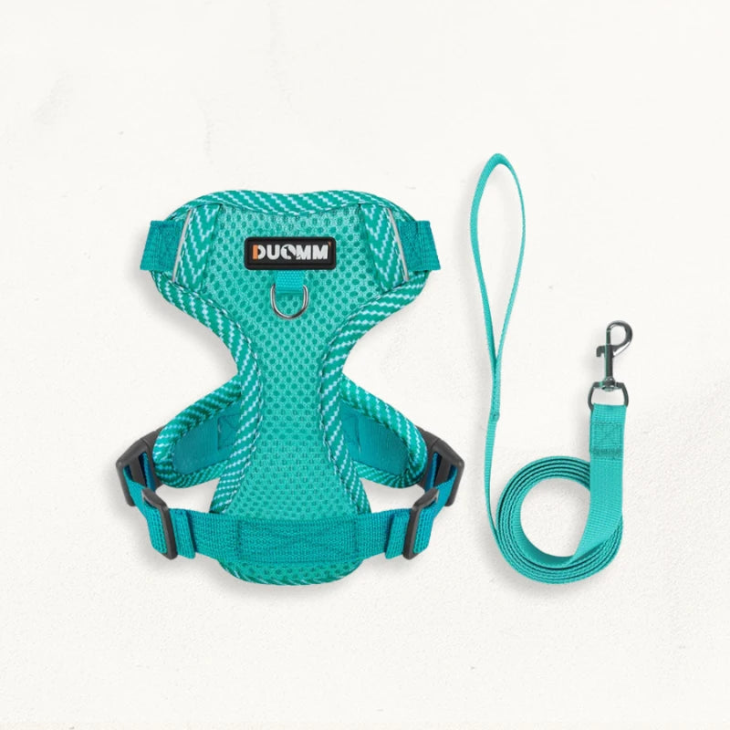 Harnais laisse chien | DuoFlex - PetitePromenade