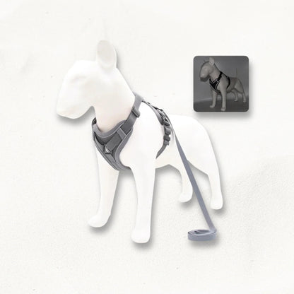 Harnais en Y petit chien | SmallY