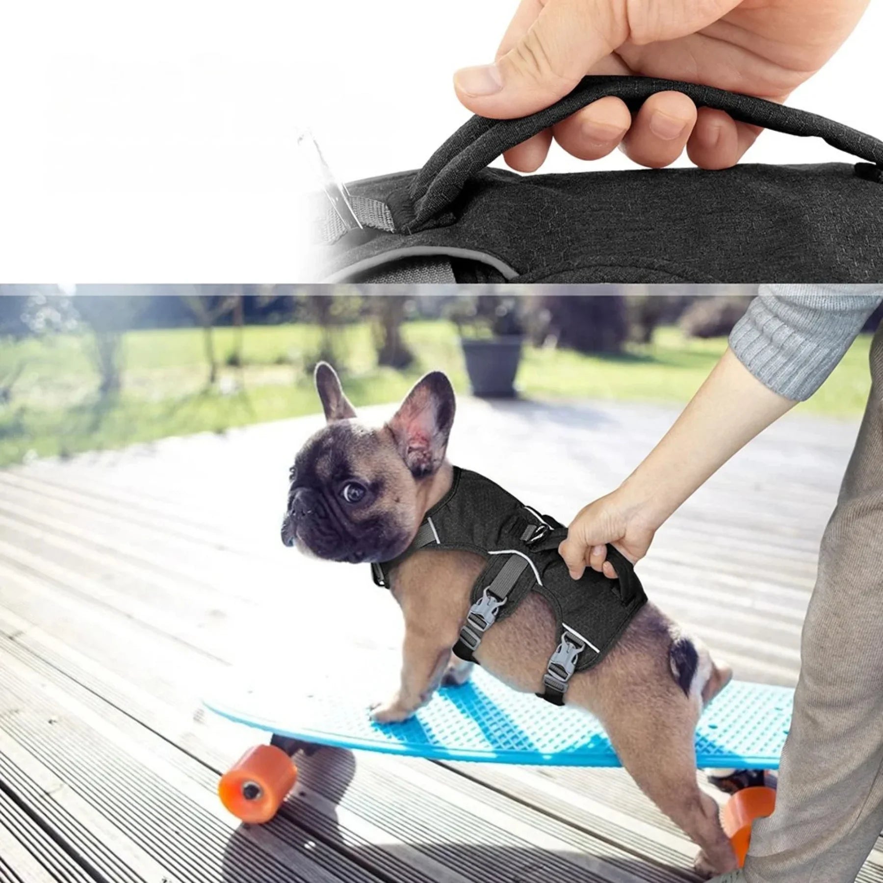 Harnais Whippet | AeroWrap Control PetitePromenade