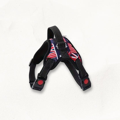 Harnais avec poignée pour chien | Atlas Unity