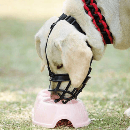 Muselière Panier | SafeGuard PetitePromenade