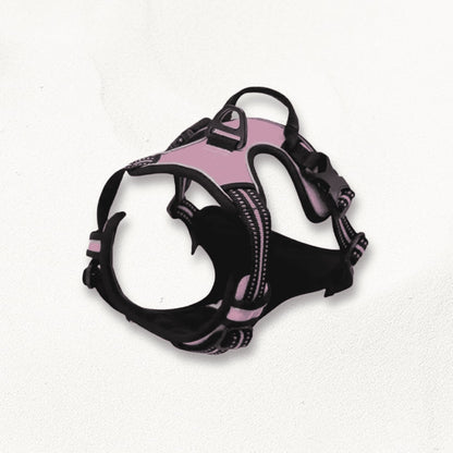 Harnais anti traction grand chien | BoldPaw