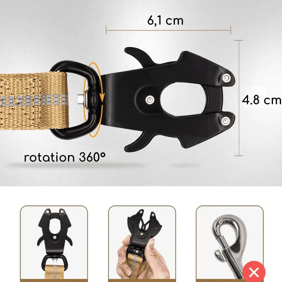 Laisse pour Chien 2 en 1 | SafetyFirst | PetitePromenade