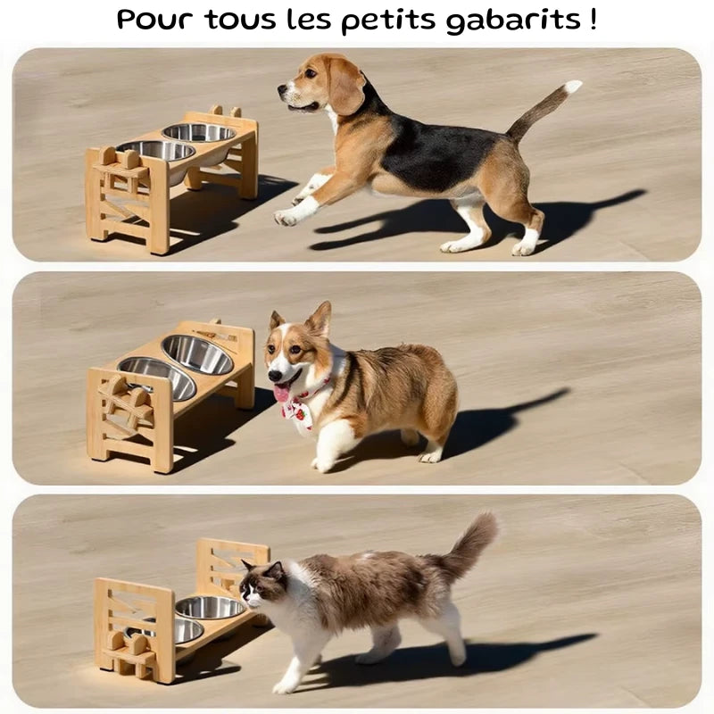 Support Gamelle Chien | ElevEat | PetitePromenade