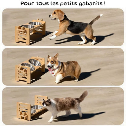 Support Gamelle Chien | ElevEat | PetitePromenade
