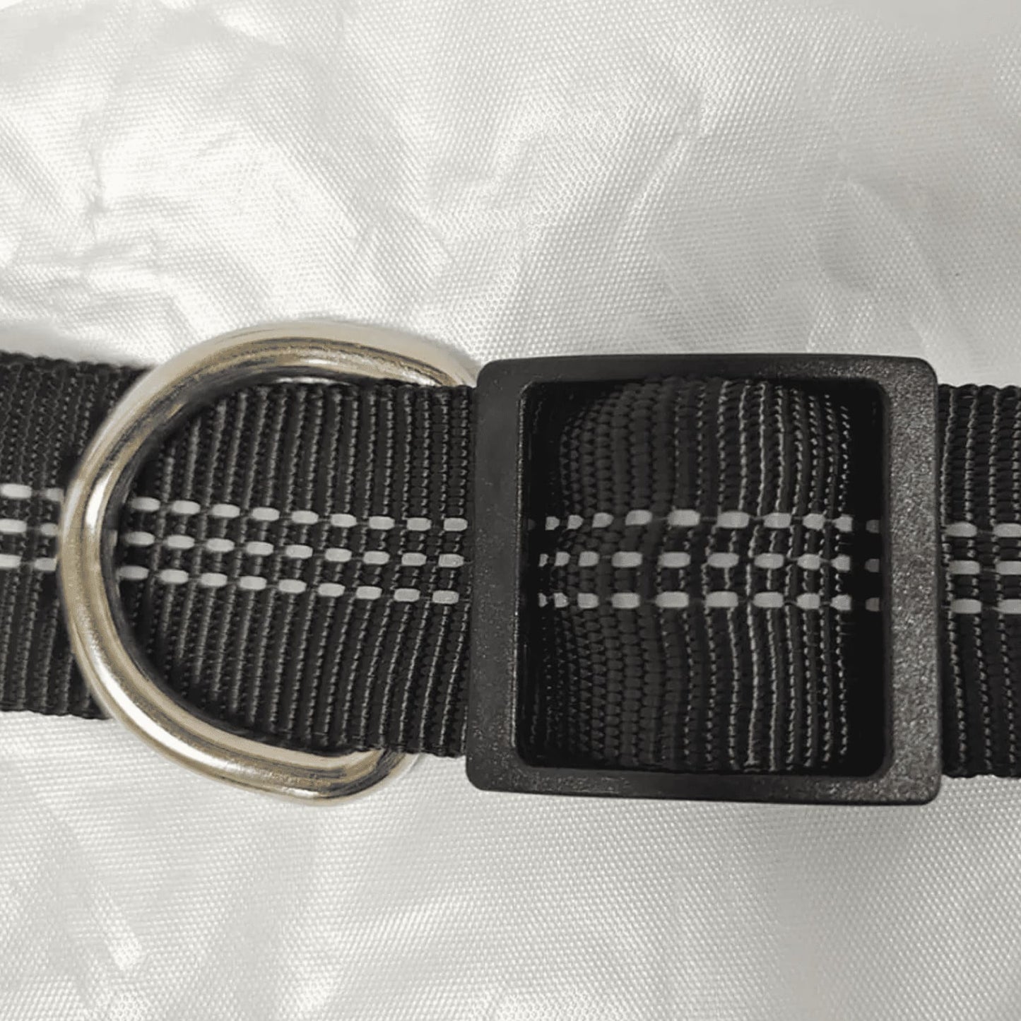 Ceinture sacoche canicross | TrailBuddy