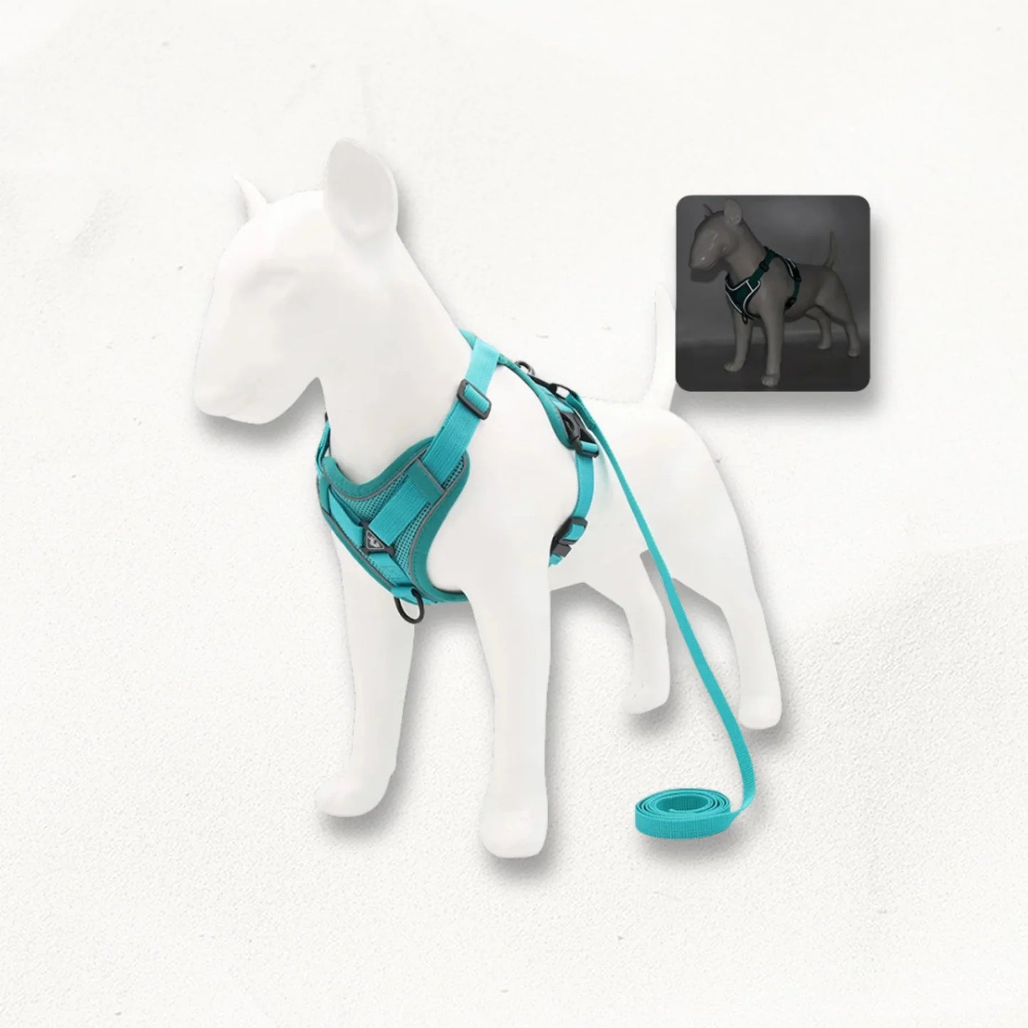 Harnais en Y petit chien | SmallY