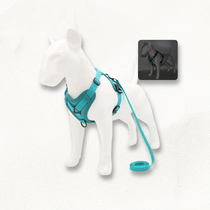 Harnais en Y petit chien | SmallY