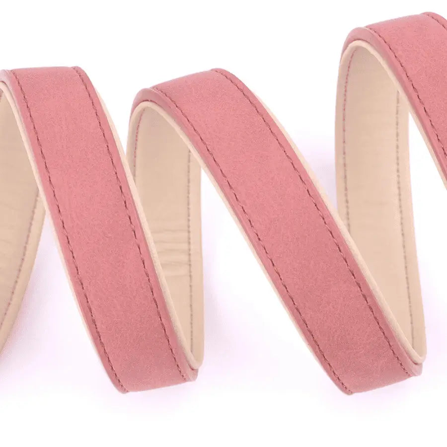 Laisse en Cuir pour Chien | Softy | PetitePromenade