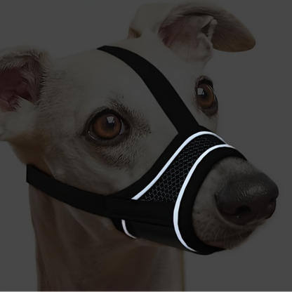 Muselière Scratch | EasyGrip PetitePromenade