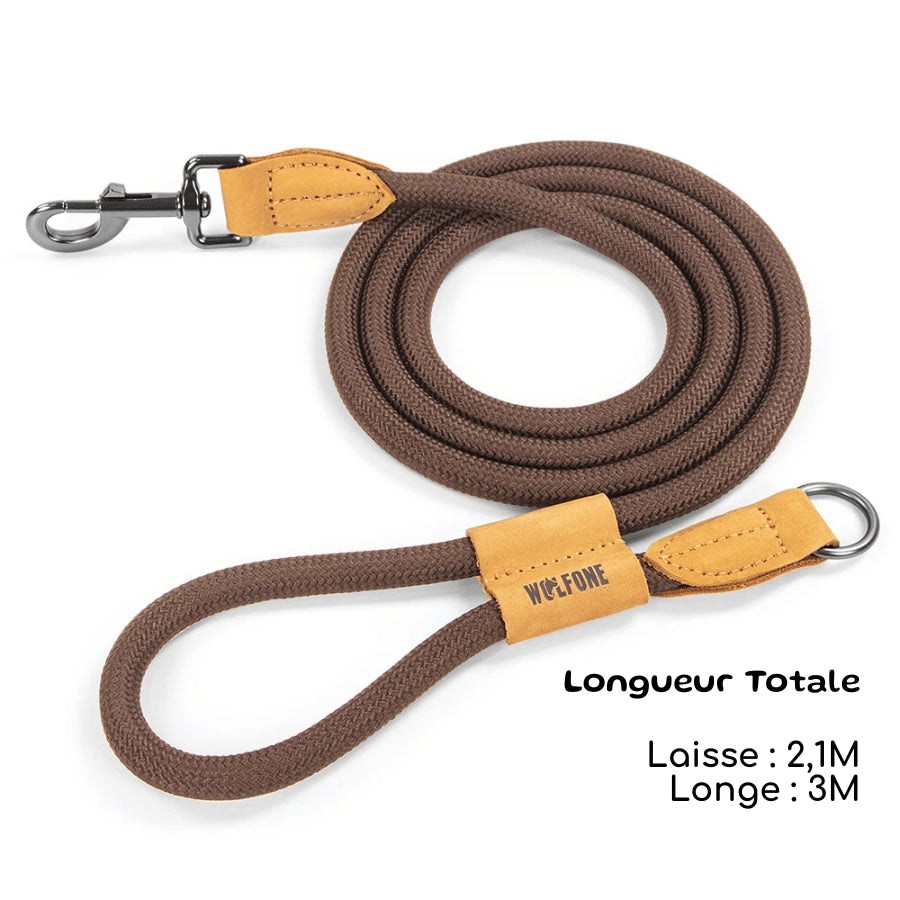 Laisse Mains Libres pour Chien | 