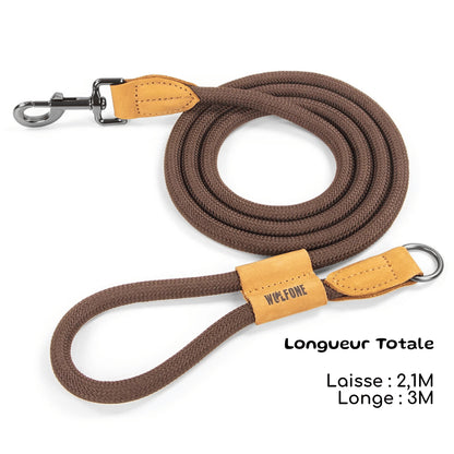 Laisse Mains Libres pour Chien | 