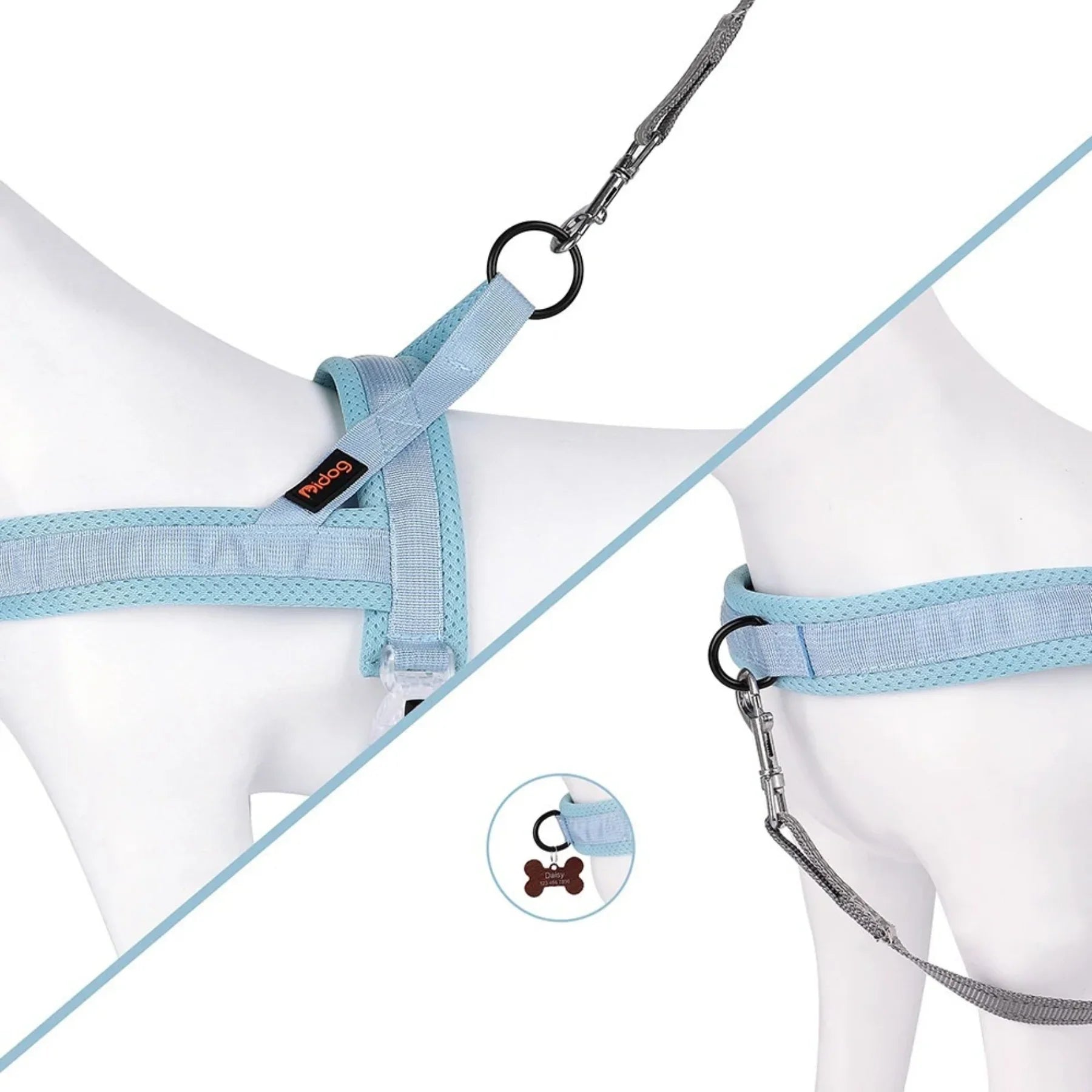 Harnais en T pour chien | Loopie PetitePromenade