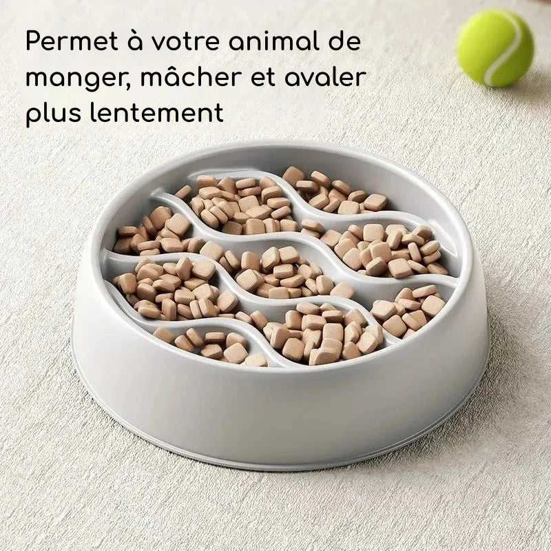 Gamelle Anti-Glouton | WaveFeeder | PetitePromenade