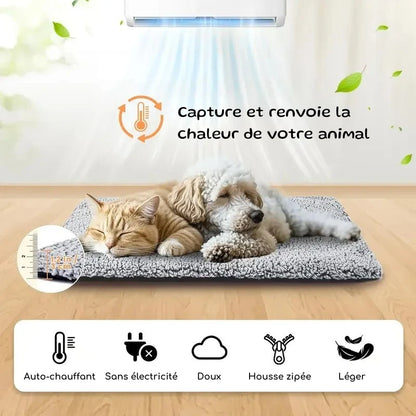 Tapis chauffant chien | WarmPup | PetitePromenade