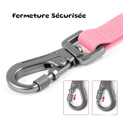 Longe pour Chien Waterproof | AquaStretch | PetitePromenade