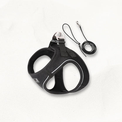 Harnais avec Laisse pour Petit Chien | SmallWalk Tactique PetitePromenade