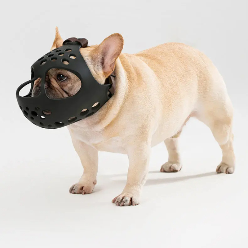 Muselière museau court | ShortMuzzle PetitePromenade