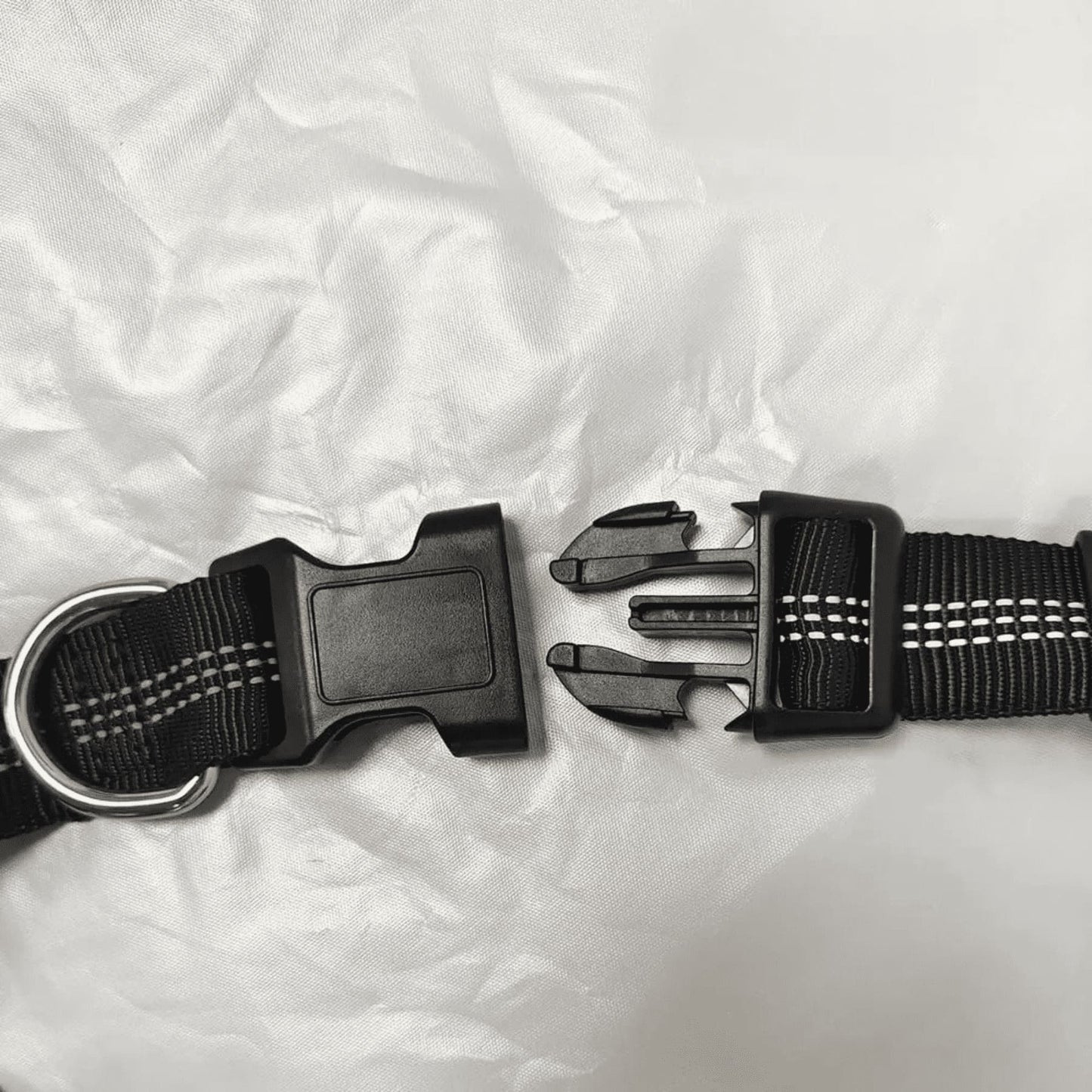 Ceinture sacoche canicross | TrailBuddy