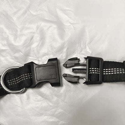 Ceinture sacoche canicross | TrailBuddy