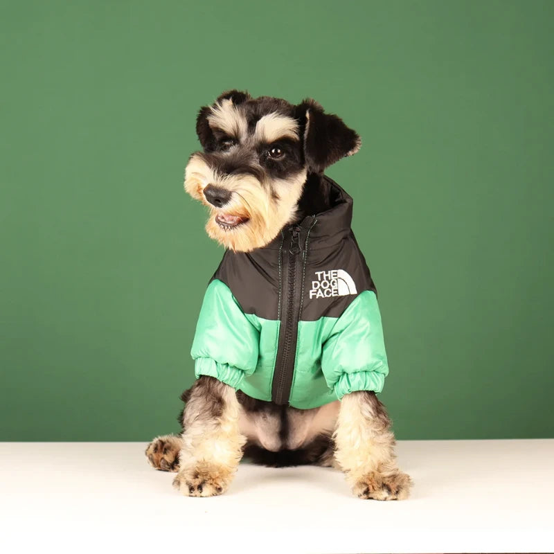 Doudoune chien | The Dog Face - PetitePromenade