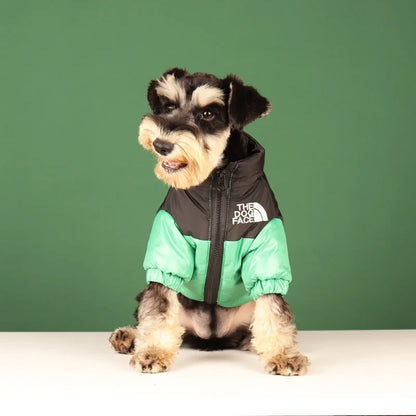 Doudoune chien | The Dog Face - PetitePromenade
