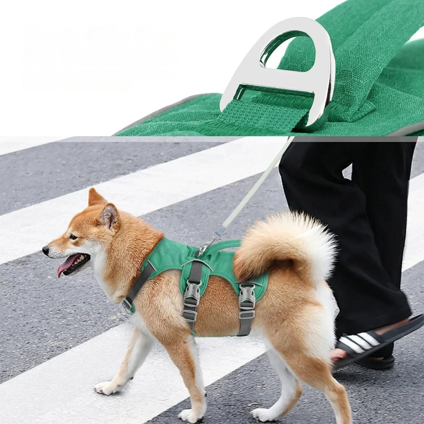 Harnais Whippet | AeroWrap Control PetitePromenade