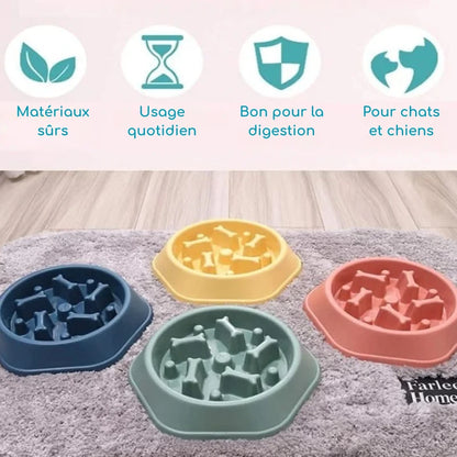 Gamelle anti-glouton gros chien | SlowBone| PetitePromenade