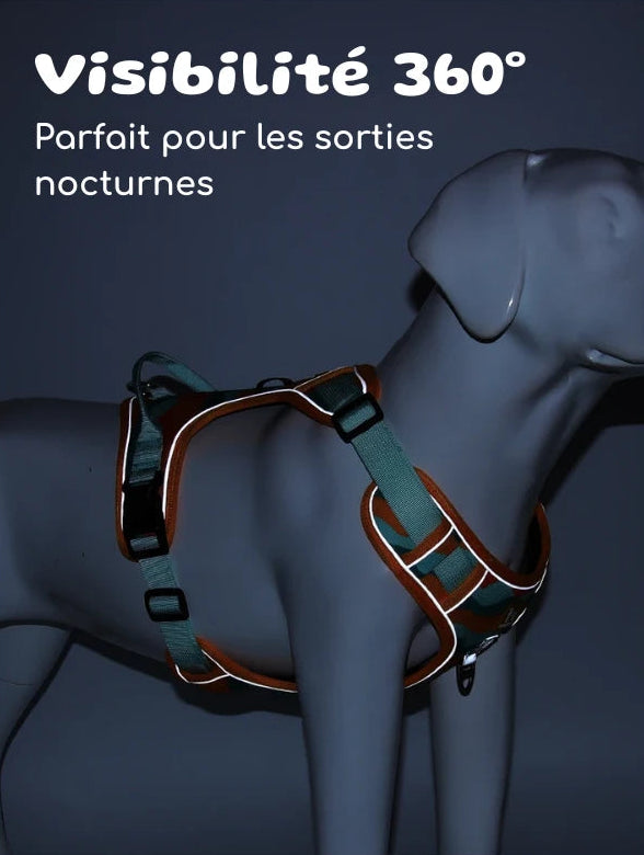 Harnais avec poignée pour chien | GripDog - PetitePromenade