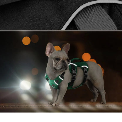 Harnais Whippet | AeroWrap Control PetitePromenade