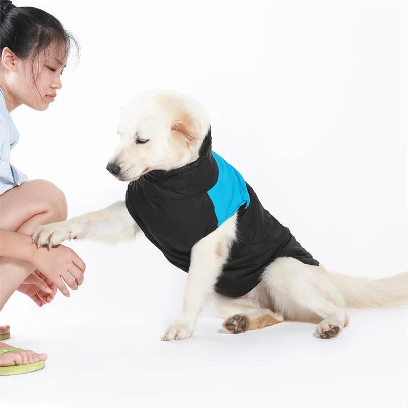 Manteau imperméable pour chien | PufferPaws