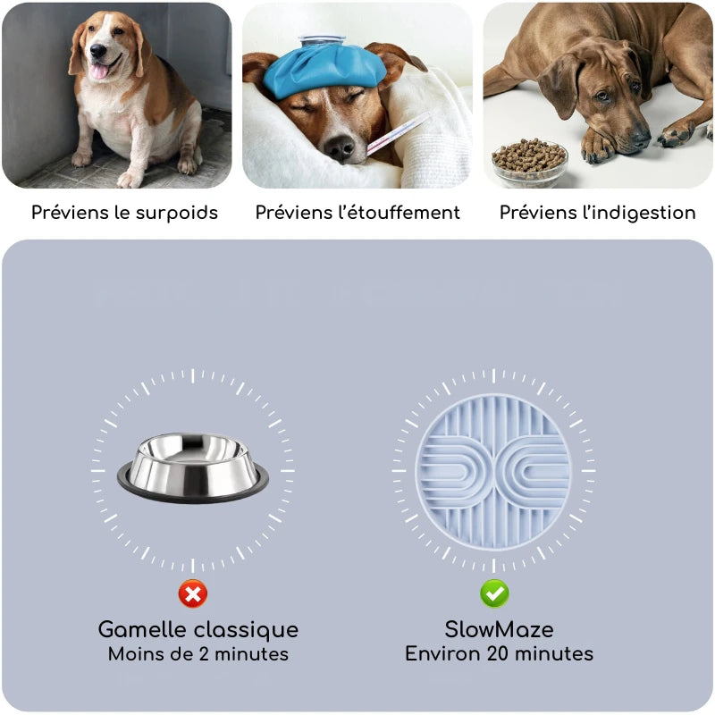 Gamelle anti-glouton chien | SlowMaze | PetitePromenade