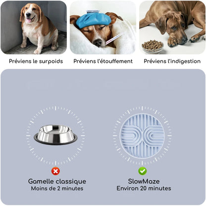 Gamelle anti-glouton chien | SlowMaze | PetitePromenade