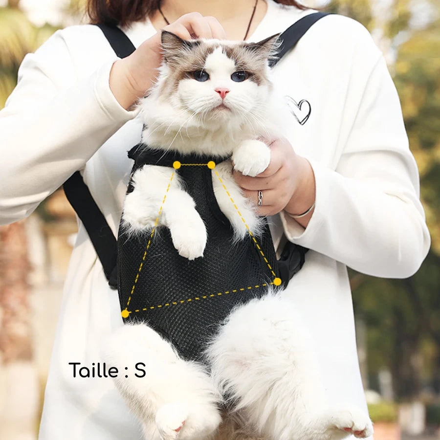 Sac à dos transport pour chien | EasyPaws | PetitePromenade