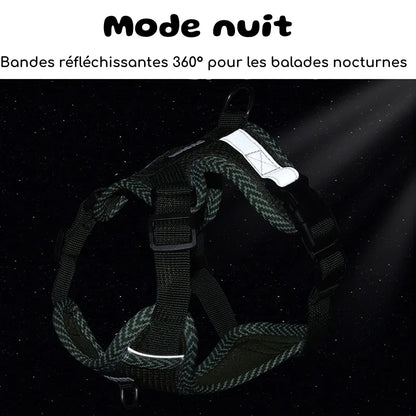 Harnais laisse chien | DuoFlex - PetitePromenade