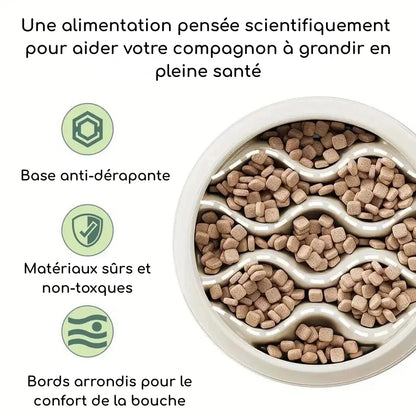 Gamelle Anti-Glouton | WaveFeeder | PetitePromenade
