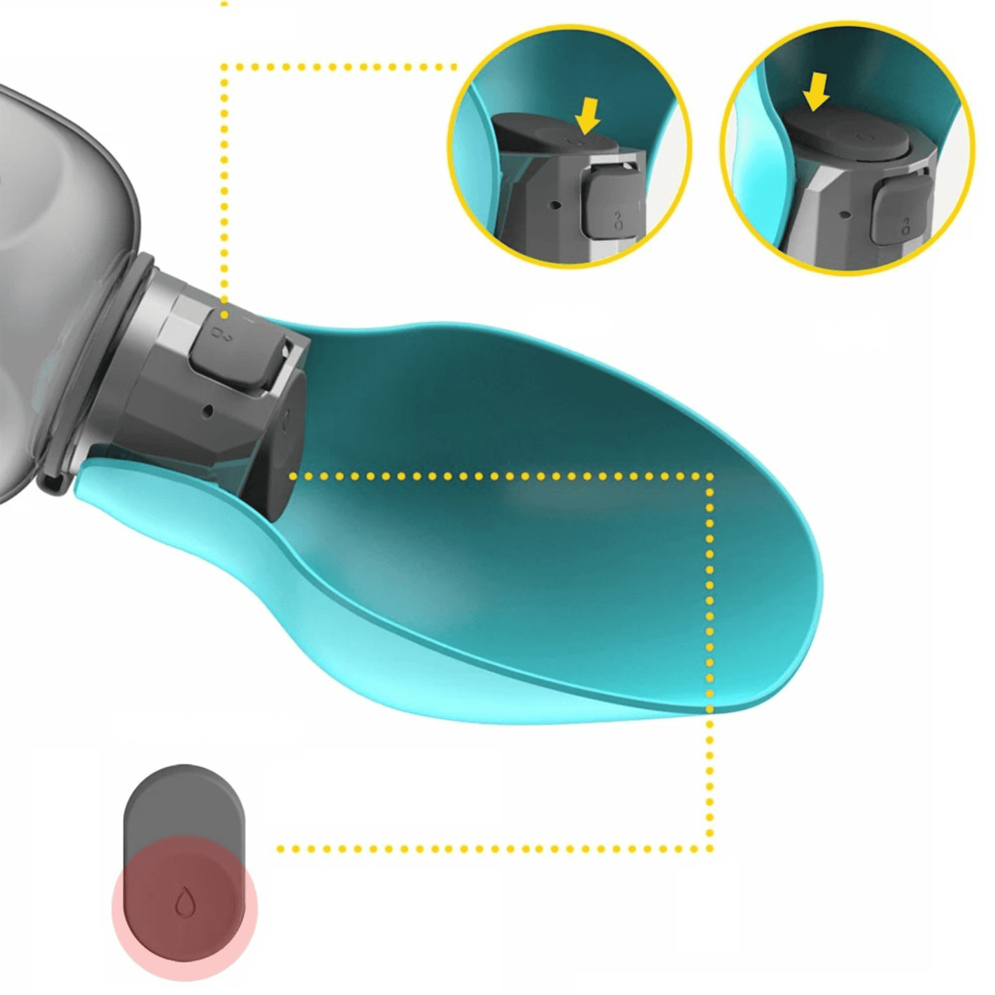 Gourde pour chien grande capacité | HydroMax PetitePromenade