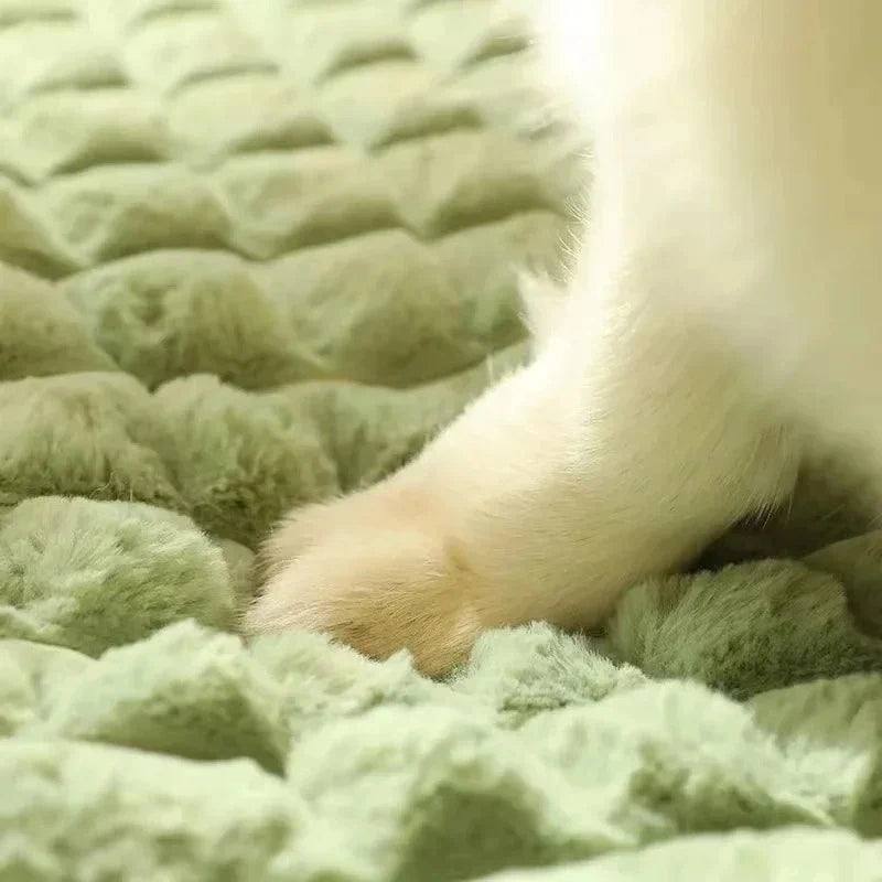 Coussin mémoire de forme pour chien | PuppyCloud