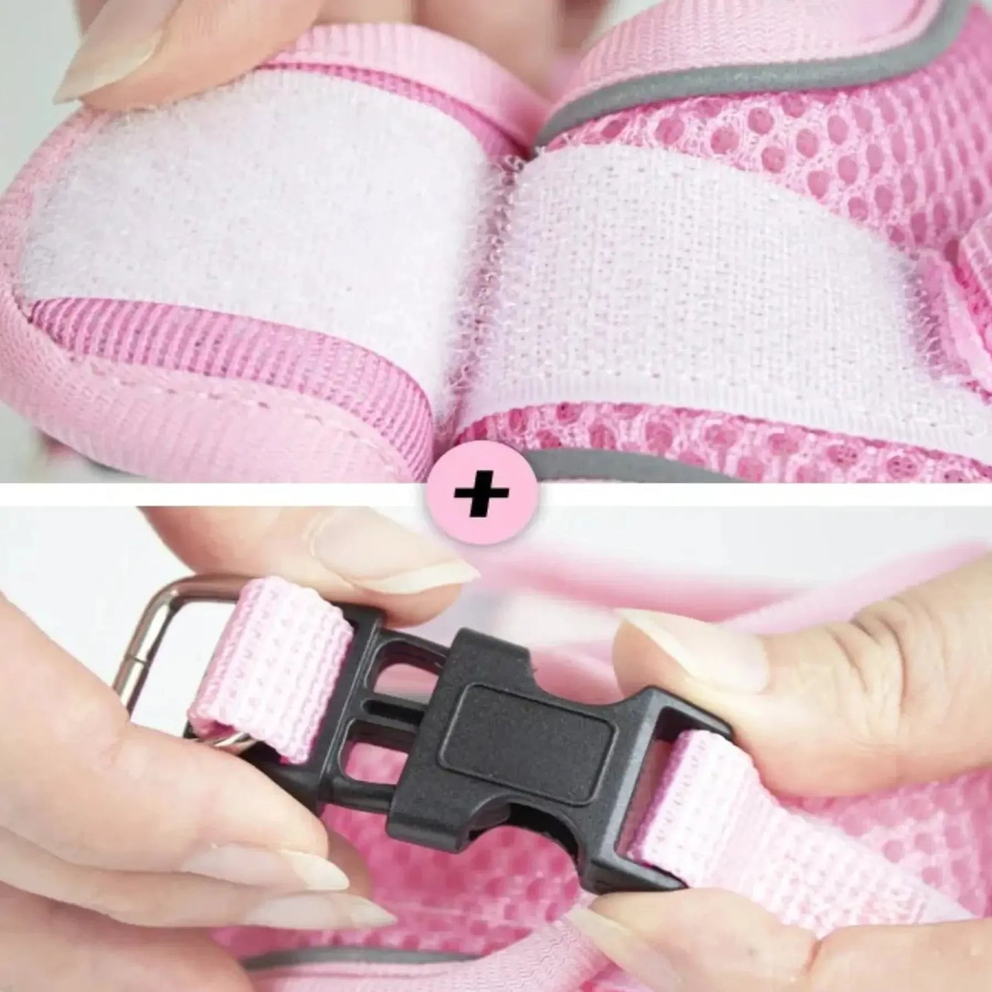 Harnais pour chien à motif | Bloomy PetitePromenade