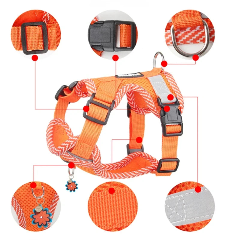 Harnais laisse chien | DuoFlex - PetitePromenade