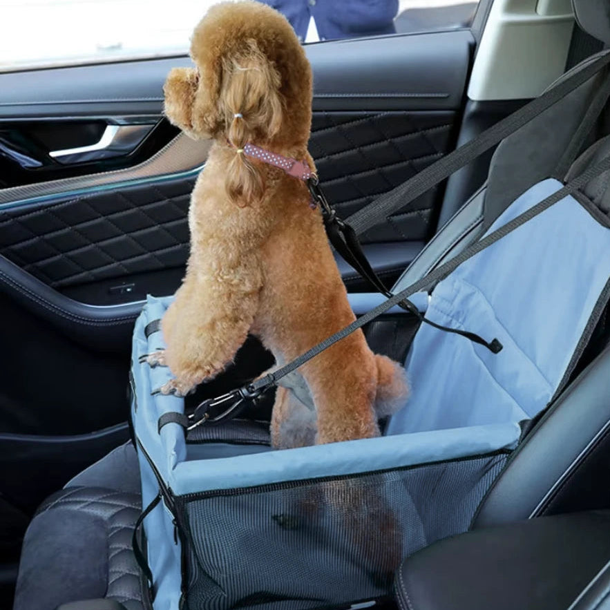 Siège auto pour petit chien | SafeTravel | PetitePromenade