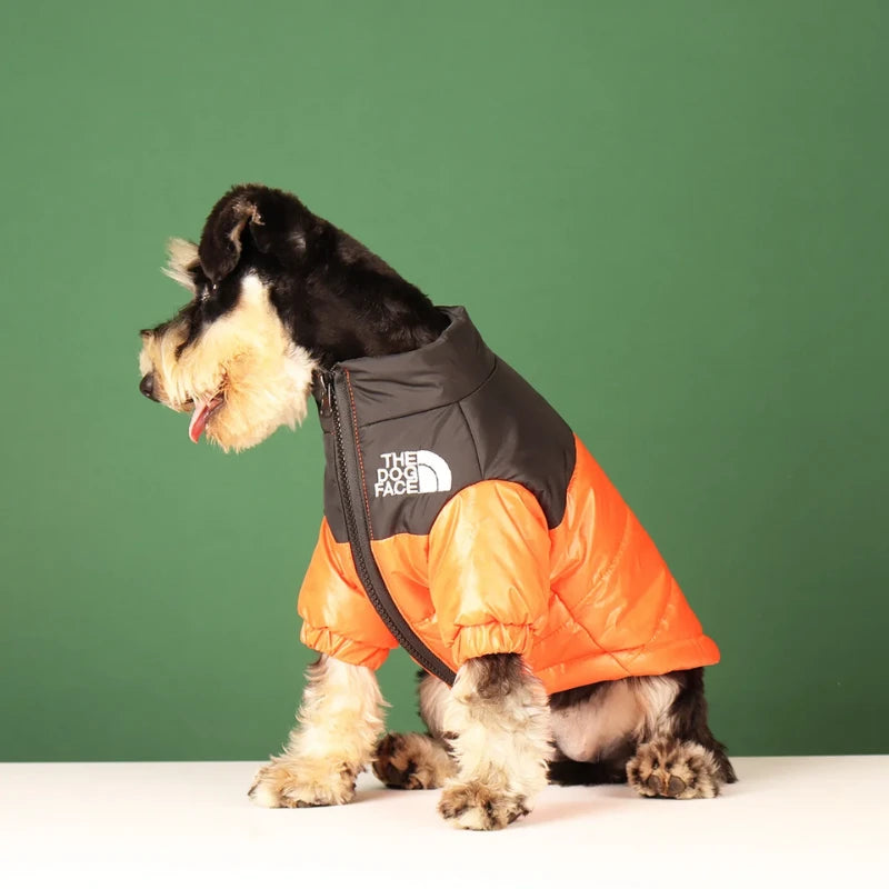 Doudoune chien | The Dog Face - PetitePromenade