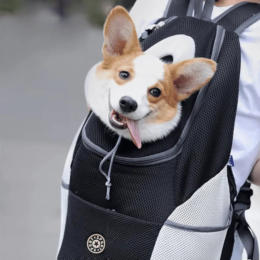 Sac de transport pour chien 10 kg | Explorer Utilisation