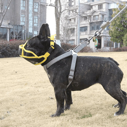 Muselière souple | FlexiGuard