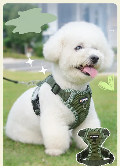 Harnais laisse chien | DuoFlex - PetitePromenade