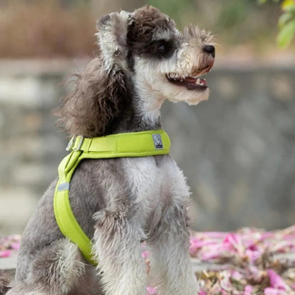 Harnais souple pour chien | Truelove Breeze
